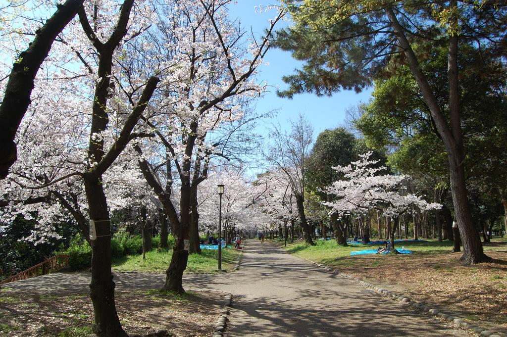 Hostel Furoya Ōsaka Eksteriør bilde